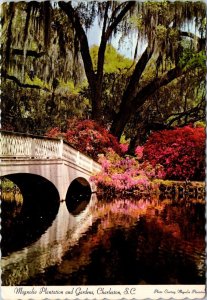 VINTAGE CONTINENTAL SIZE POSTCARD MAGNOLIA PLANTATION AND GARDENS CHARLESTON SC