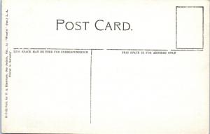 SAN JACINTO, CA   PICO RANCH Combined HARVESTER 38 HORSES  c1910s Postcard