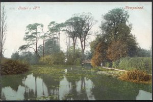 London Postcard - Golder's Hill, Hampstead   893