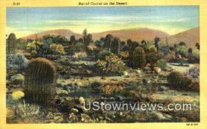Barrel Cactus - Misc, Arizona AZ