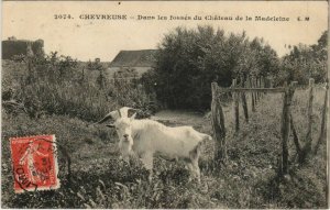 CPA CHEVREUSE Dans les fossés du Chateau (806395)