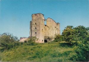 BF31165 beaumont vienne la tour feodale de beaumont   france front/back image