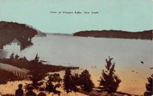 Tupper Lake New York Waterfront Birdseye View Antique Postcard K76560