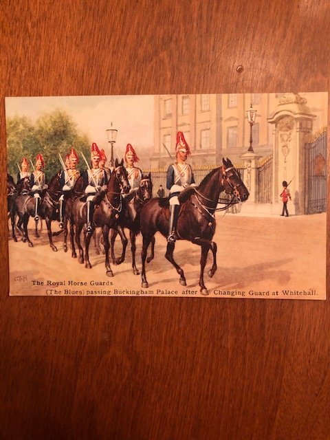 Royal Horses of London and beyond