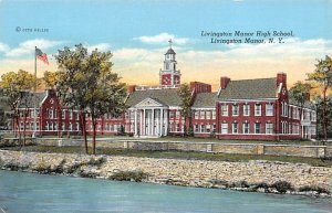 Livingston Manor High School Livingston Manor, New York NY Postcard