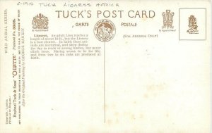 Africa C-1910 Tuck Lioness Postcard roadside 22-7320