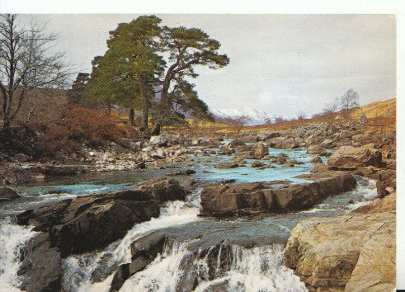 Scotland Postcard - The River Moriston - Inverness-Shire - Ref 15083A