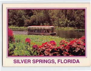 Postcard Quiet, Electrically Propelled Glass Bottom Boats, Silver Springs, FL