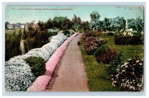 C.1910 Marguerite Hedge, Santa Monica, California. Postcard F103E