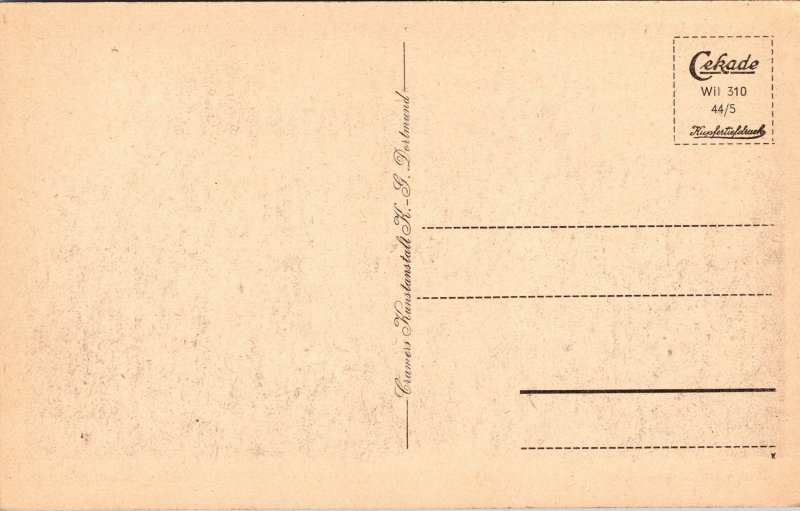 Postcard Germany Hesse  Bad Wildungen  Friedrichstein Palace