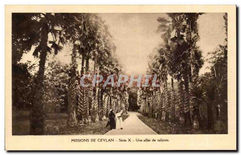 Old Postcard From Ceylon Mission X Serie A allee of talipots Ceylon Ceylon Sr...