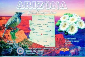 ARIZONA Map Postcard - Grand Canyon State -  State Symbols