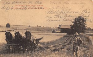 Horse Team Reaping Grain Harvest Farming Wisconsin postcard