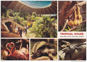 Tropical House , Assinibone Park , Winnipeg , Manitoba , Canada , 60-80s
