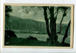 3151869 France BEAULIEU Olive trees of Cape Ferrat Vintage PC
