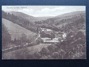 Somerset Bridgwater HOLFORD Tannery Combe c1930s Postcard