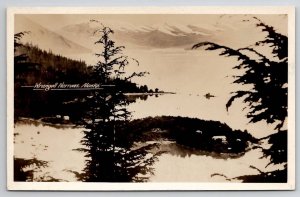 RPPC Wrangell Narrows Alaska Postcard V21