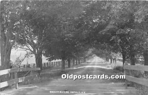 Shaker Maples, Real Photo Enfield, New Hampshire, NH, USA Unused 