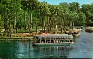 Florida Silver Springs Glass Bottom Boats