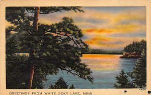Greetings From  - White Bear Lake, Minnesota MN  