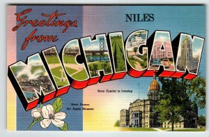 Greetings From Niles Michigan Large Letter Postcard Linen Apple Blossom Unused