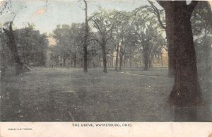 J61/ Waynesburg Ohio Postcard c1910 The Grove Trees 336