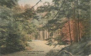 Postcard Vermont Windsor Glimpse in Paradise hand colored Rockwoods 22-14415