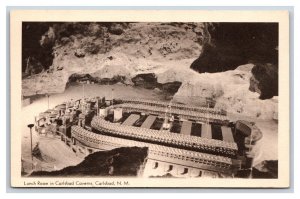 Lunch Room at Carlsbad Caverns Carlsbad New Mexico NM UNP WB Postcard N24