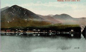 Nakusp Arrow Lakes  BC British Columbia Slocan Valley Unused Postcard E82