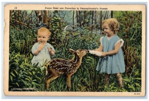 c1930's Little Kids Being Fed Milk Fawn Deer Forest Pennsylvania PA Postcard