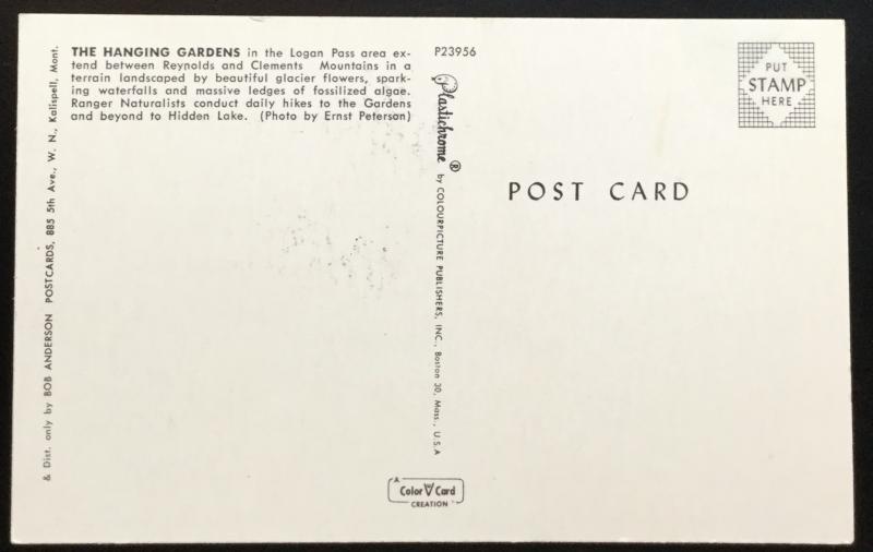 Postcard Unused Hanging Gardens Logan Pass MT LB
