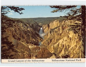 Postcard Grand Canyon of the Yellowstone National Park, Wyoming
