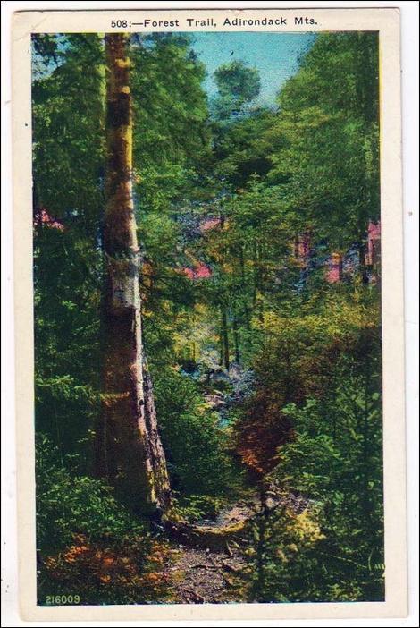 NY - Forest Trail, Adirondacks.  *RPO- Inlet & Old Forge Railroad