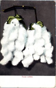 1900s Texas Cotton Divided Back Postcard