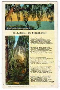 Legend of the Spanish Moss