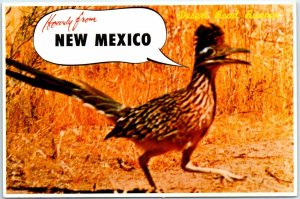 Postcard - Desert Road Runner - Howdy from New Mexico