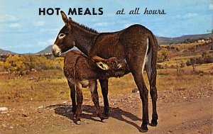 Hot Meals at all Hours Donkey Unused 