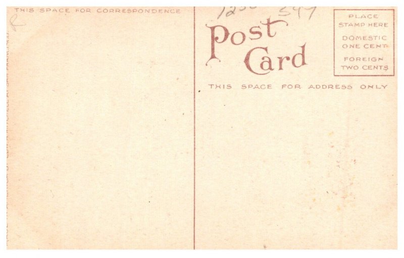 California San Francisco Portola Festival , October 1909