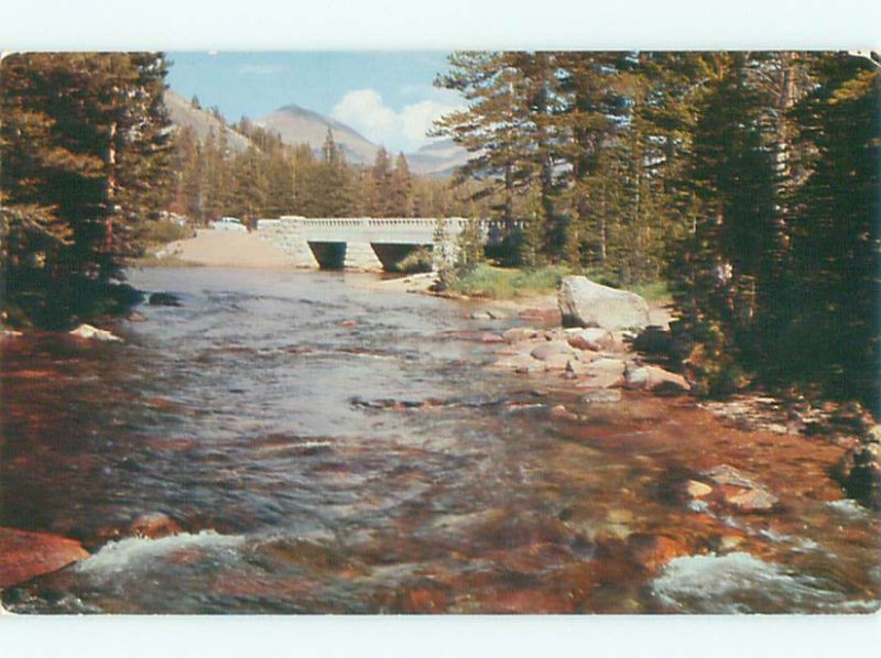 Pre-1980 RIVER SCENE Lee Vining - Near Bridgeport & Mammoth Lakes CA AE5934