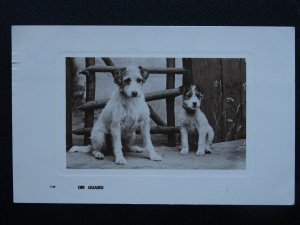 Dog Portrait TERRIER Breed ON GUARD c1907 RP Postcard by Bamforth & Co.