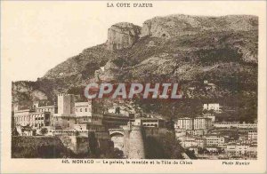 Old Postcard Monaco Palace and the rise of dog head