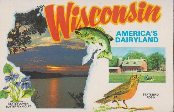 Wisconsin Americas Dairyland Postcard