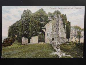 South Wales SWANSEA Entrance to OYSTERMOUTH CASTLE c1906 by Woodbury Series 2791