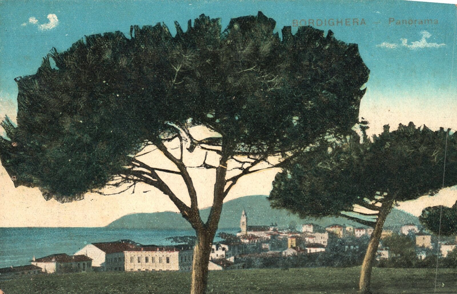 Tirage Albuminé Vintage - Italie, Bordighera, étude De Palmier - Environ 1880, Format 20x27 Cm, Référence MH8141