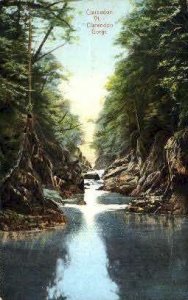 Clarendon Gorge - Vermont VT Postcard