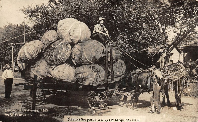 G32/ Milburn Nebraska RPPC Postcard 1911 Exaggeration Cabbage Wagon 