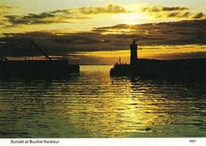 Buckie Harbour Scotland Sunset Postcard