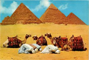 CPM EGYPTE Giza-Prayer near the Pyramids (343831)