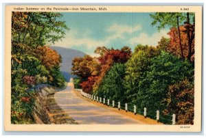 1940 Scenic View Indian Summer Peninsula Iron Mountain Michigan Vintage Postcard