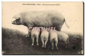 Postcard Old Pig Pig A happy family